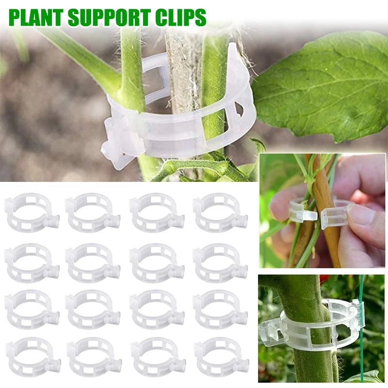 200 Clips liants pour plantes - Aurobee Aurobee smartphone photographie len lens