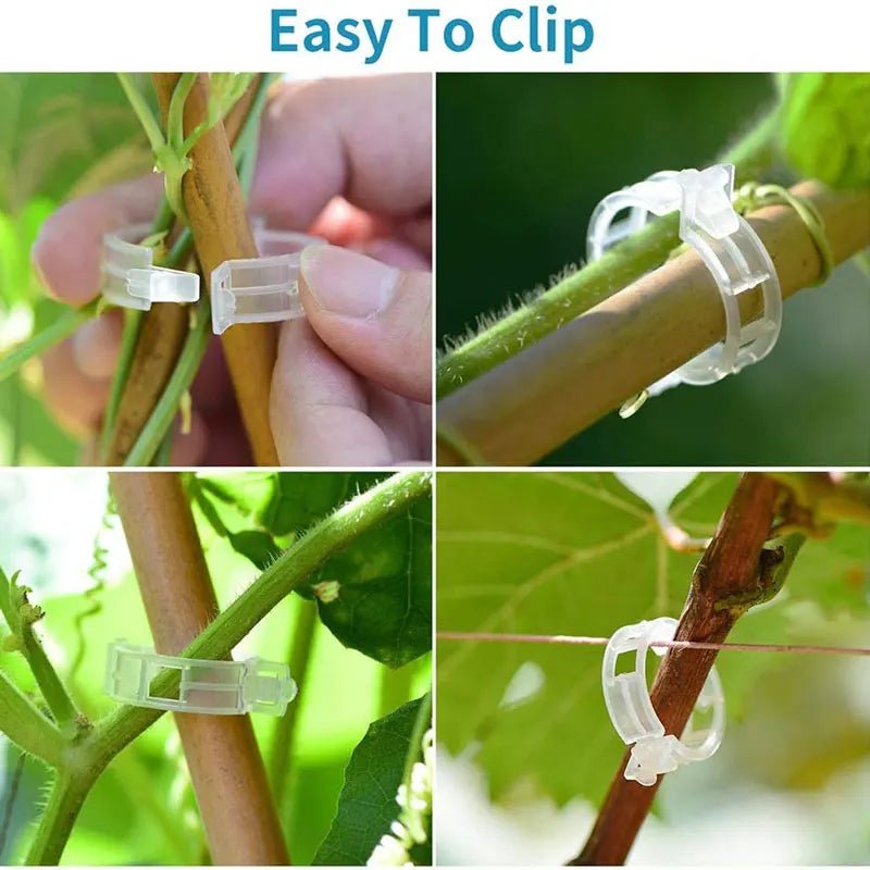 200 Clips liants pour plantes - Aurobee Aurobee smartphone photographie len lens