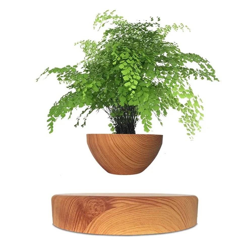 AUROBS® - Vase flottant Zen de plante et bonsaï - Aurobee Aurobee smartphone photographie len lens